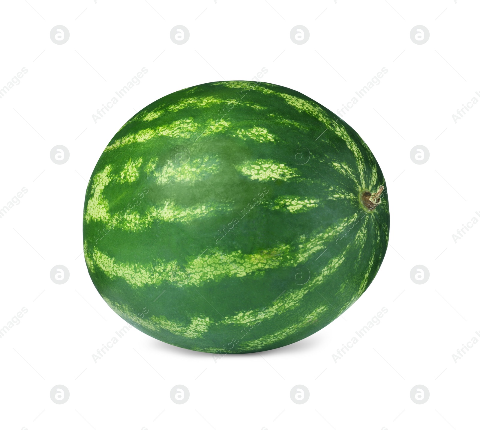 Photo of One whole ripe watermelon isolated on white