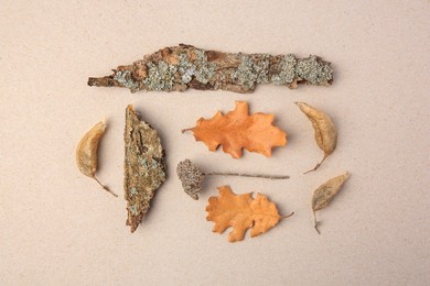 Photo of Tree bark pieces and dry leaves on beige background, flat lay