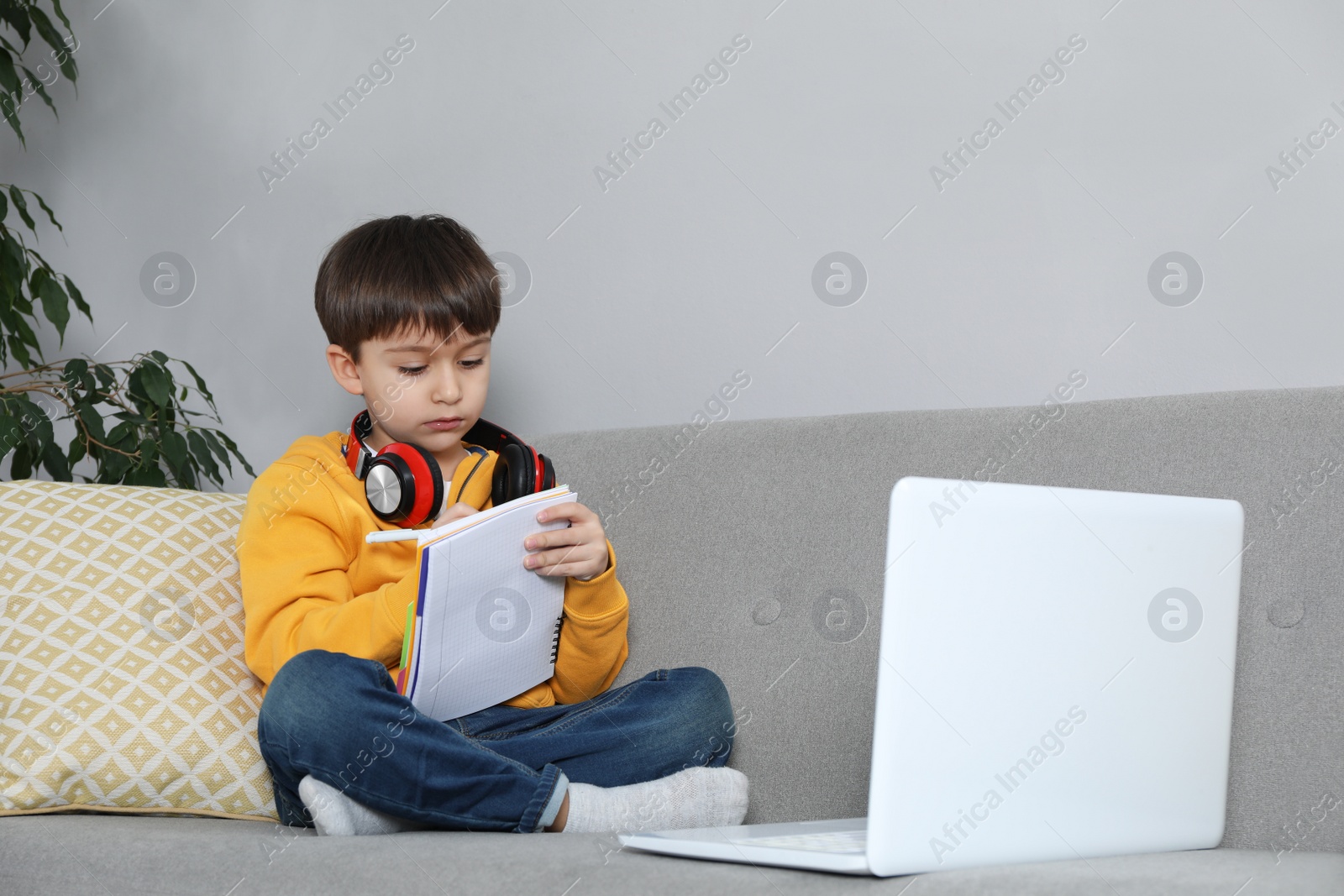 Photo of Cute little boy with modern laptop studying online at home. E-learning