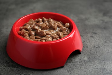 Wet pet food in feeding bowl on grey stone background