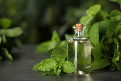 Photo of Bottle of mint essential oil and green leaves on grey table, closeup. Space for text