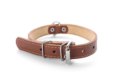 Leather collar for dog on white background. Pet accessory