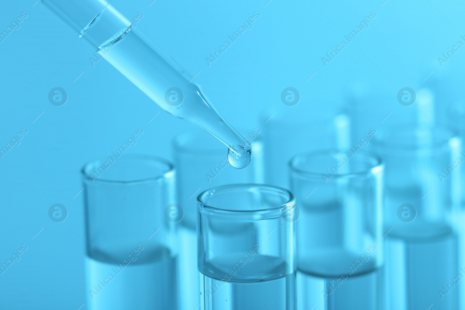 Photo of Laboratory analysis. Dripping liquid from pipette into glass test tube on light blue background, closeup