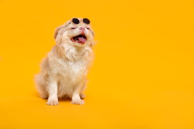 Cute Pekingese dog with sunglasses on yellow background. Space for text