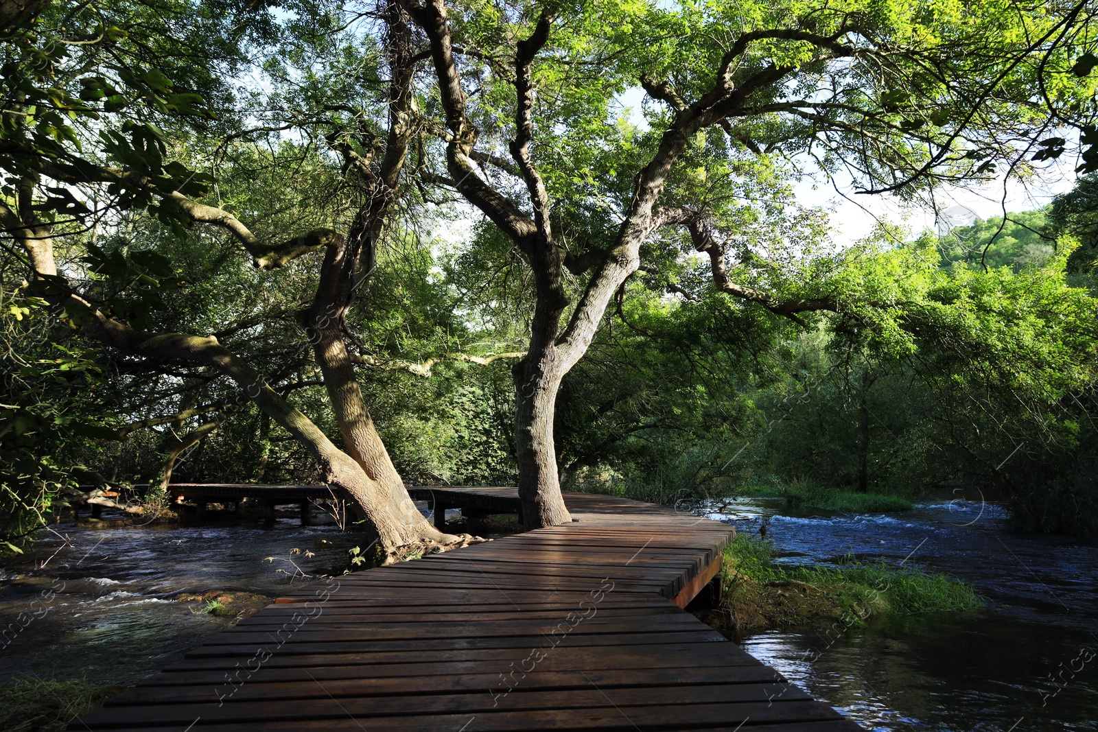 Photo of Picturesque view of beautiful river and pathway outdoors