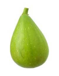 One fresh green fig isolated on white