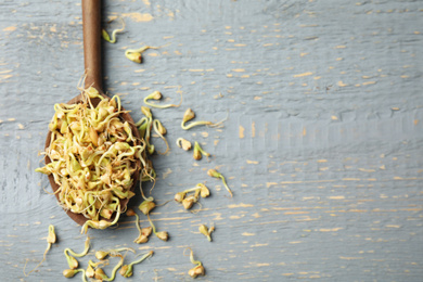 Photo of Spoon with sprouted green buckwheat on grey wooden table, flat lay. Space for text