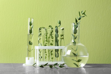 Photo of Test tubes, graduated cylinder and flask with different plants on table against green background