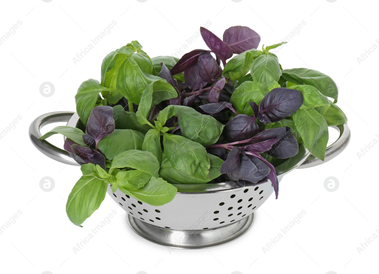 Photo of Metal colander with fresh basil leaves isolated on white