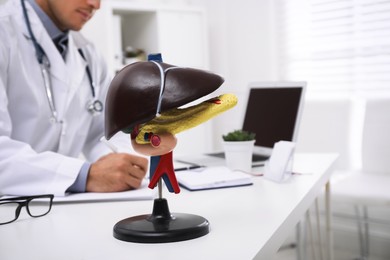 Photo of Model of liver on doctor's workplace in clinic. Space for text