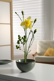 Stylish ikebana with beautiful yellow narcissus flower carrying cozy atmosphere at home