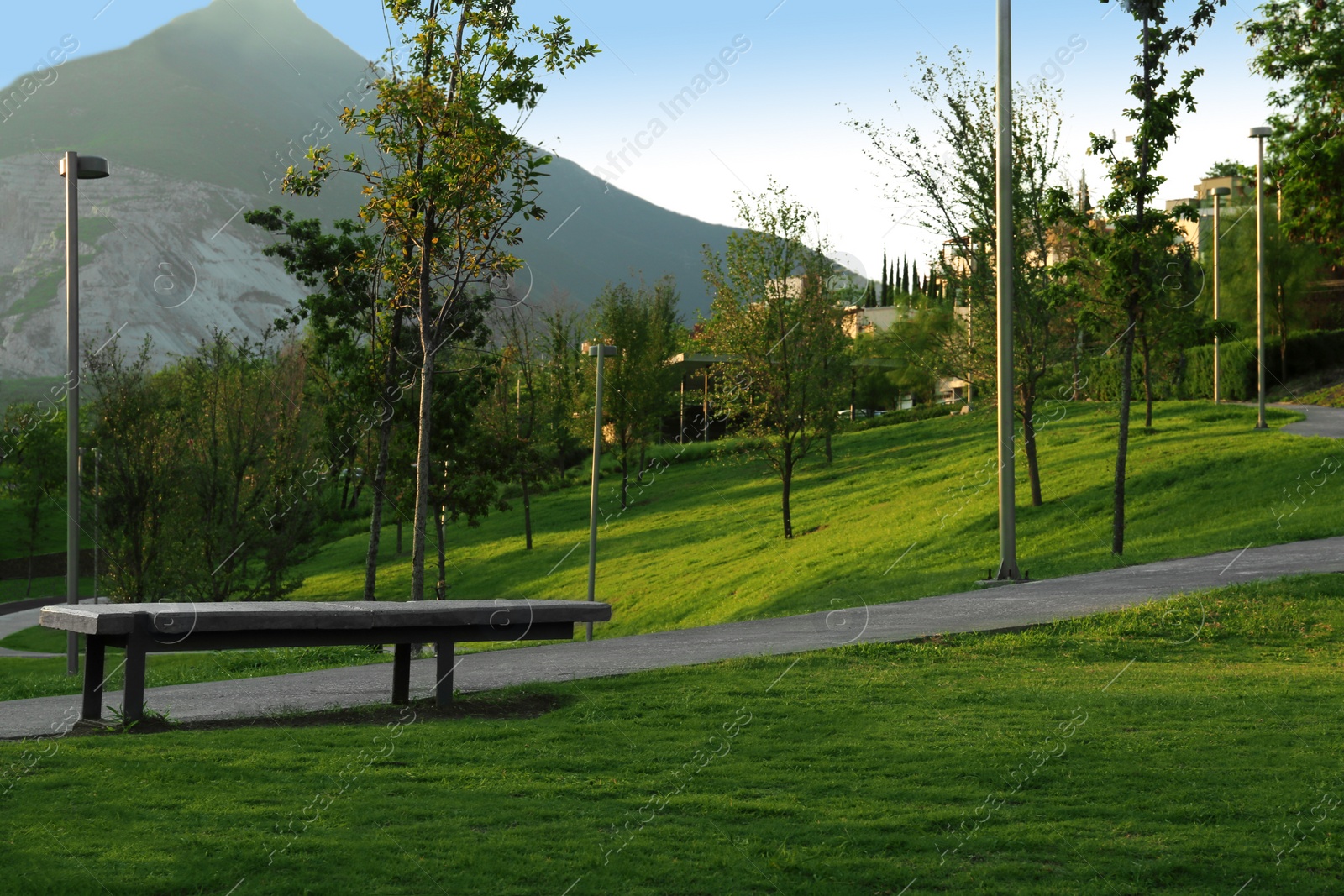 Photo of Wooden bench in beautiful park near mountains