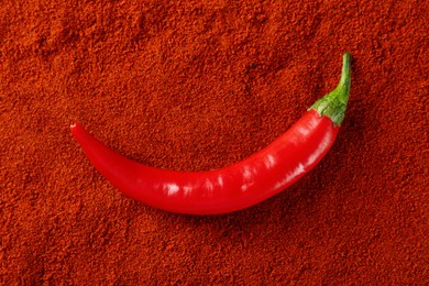 Photo of Fresh chili pepper on paprika powder, top view