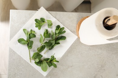 Photo of Mint drying on paper towel on light table indoors, top view