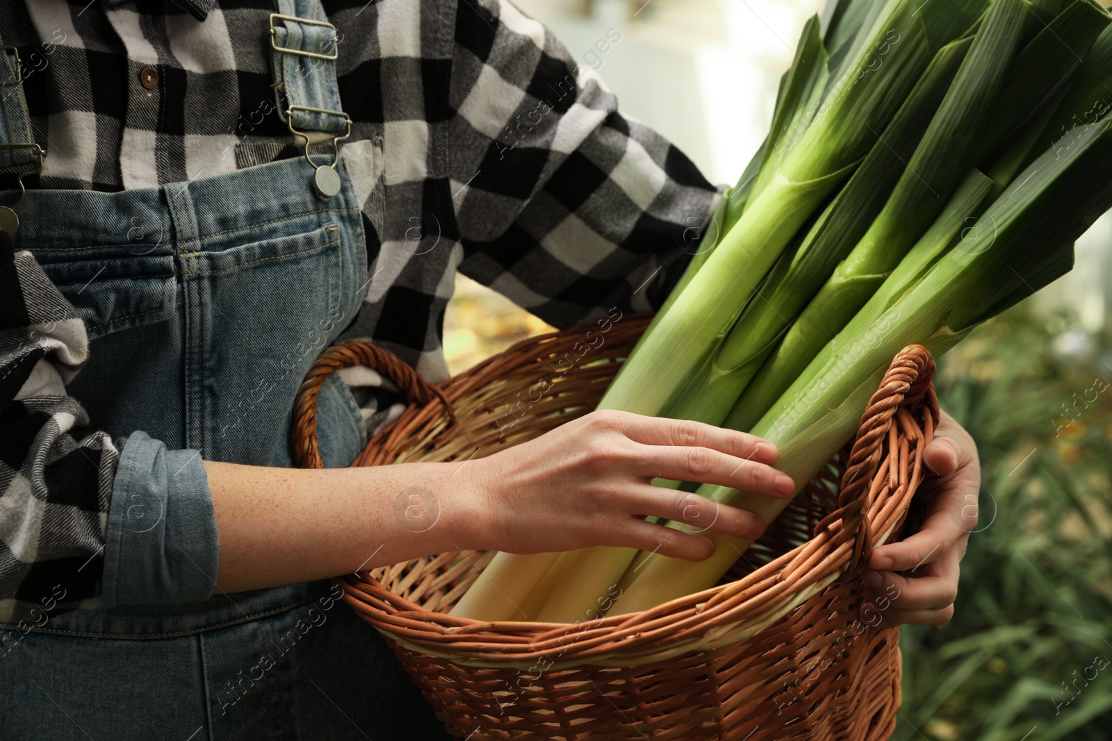 Photo of Woman holding wicker basket with fresh raw leeks outdoors, closeup