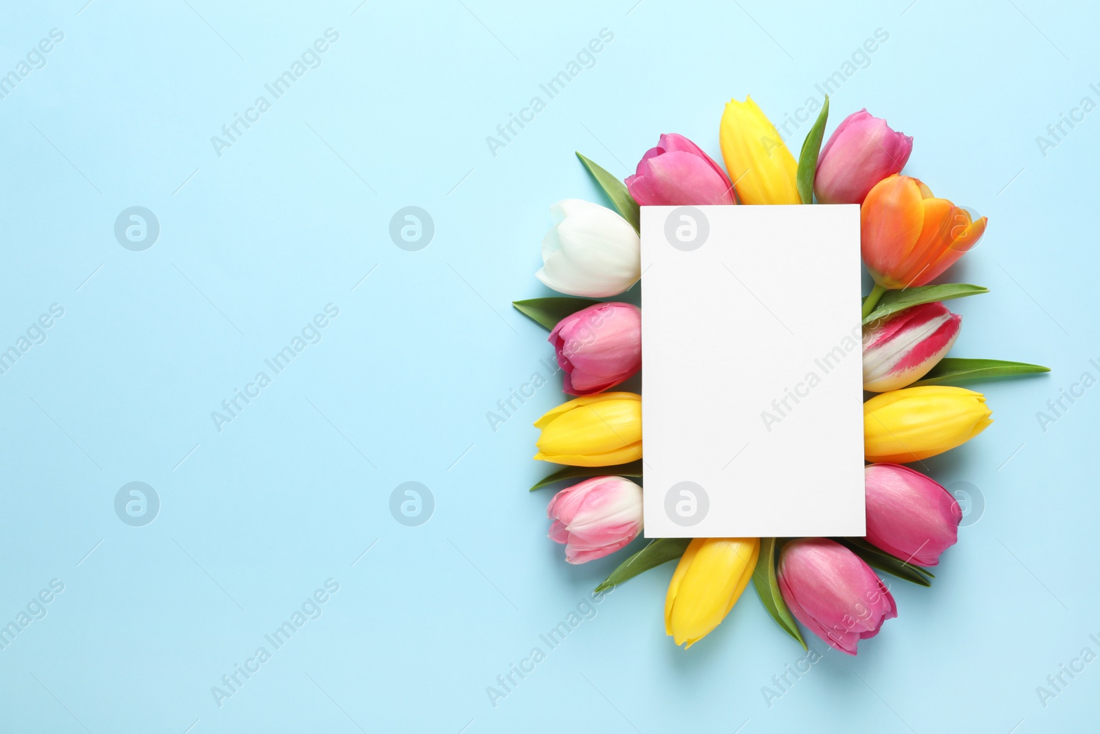 Photo of Beautiful composition with spring flowers and blank card on color background, top view. Space for text