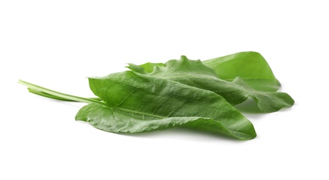 Photo of Fresh green sorrel leaves on white background