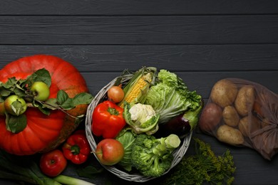 Photo of Different fresh vegetables and fruits on black wooden table, flat lay with space for text. Farmer harvesting
