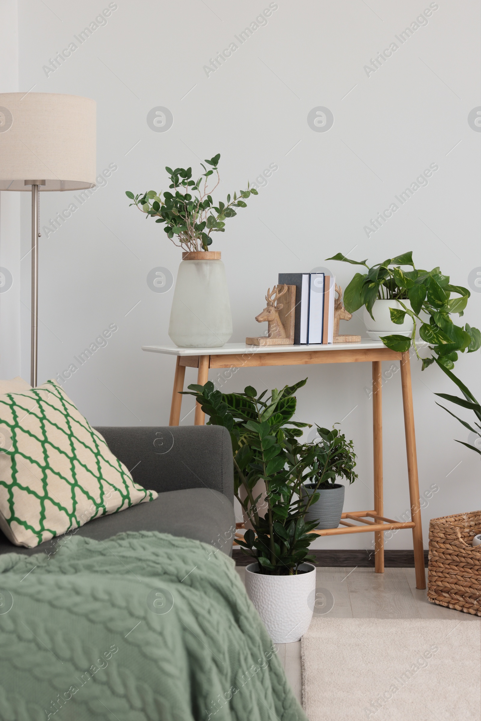 Photo of Beautiful living room interior with green houseplants and comfortable furniture