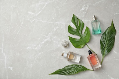 Flat lay composition with bottles of perfume on grey background