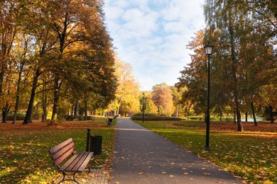 Photo of Picturesque view of park with pathway, beautiful trees and bench. Autumn season