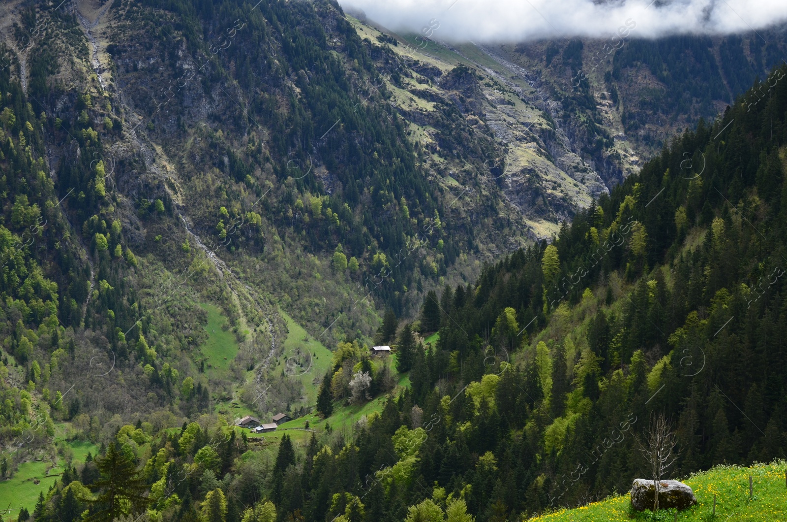 Photo of Picturesque view of mountain landscape with forest outdoors