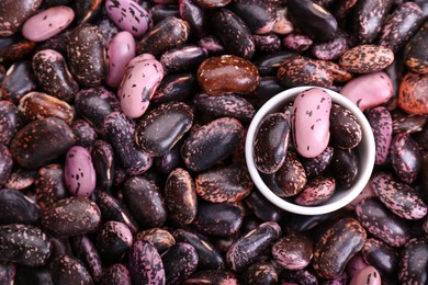 Photo of Bowl on dry kidney beans, top view