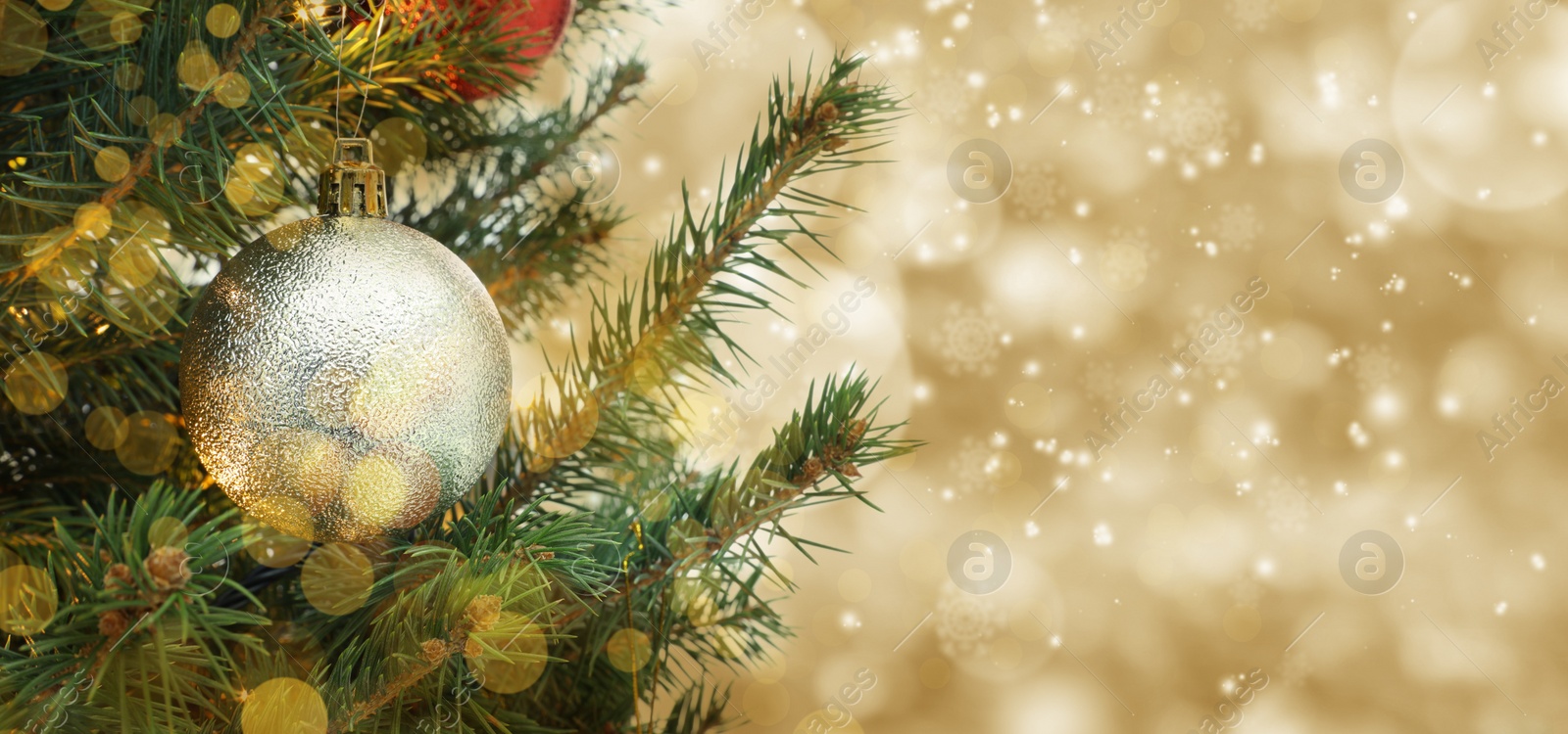 Image of Beautiful bauble hanging on Christmas tree against blurred lights, closeup view with space for text. Banner design