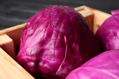 Photo of Closeup view of fresh red cabbages in wooden crate