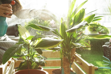 Photo of Woman taking care of plants indoors, closeup. Home gardening