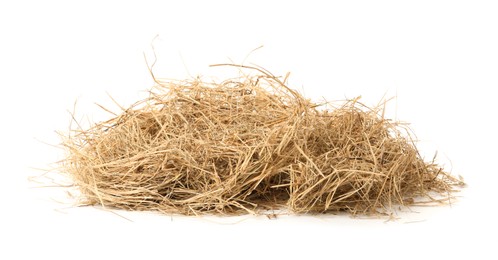 Photo of Heap of dried hay on white background