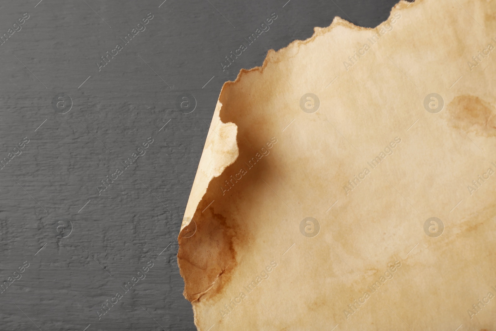 Photo of Sheet of old parchment paper on grey wooden table, top view. Space for text