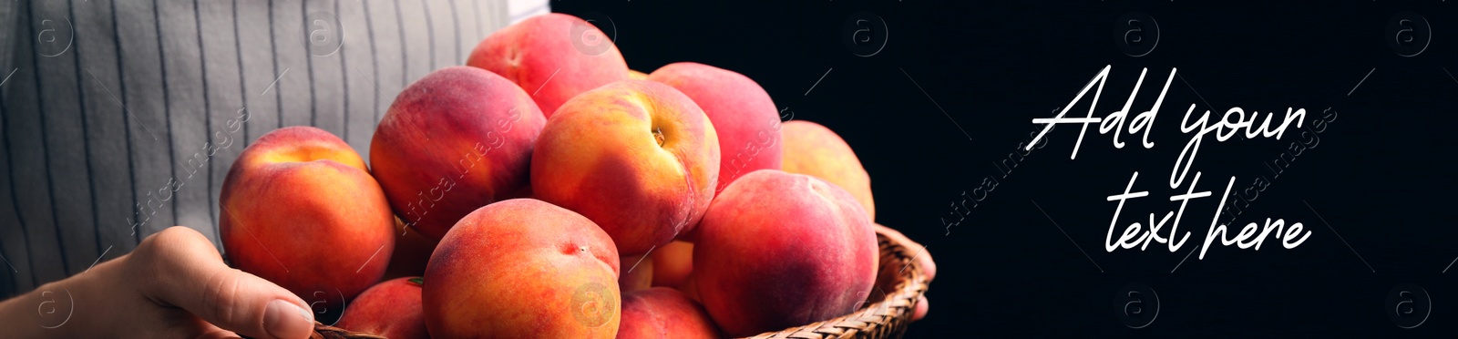 Image of Woman holding wicker basket with fresh ripe peaches on black background, closeup. Banner design where you can add your text