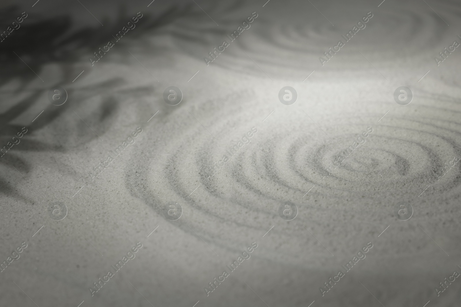 Photo of Beautiful spiral and shadows of leaves on sand, closeup. Zen garden