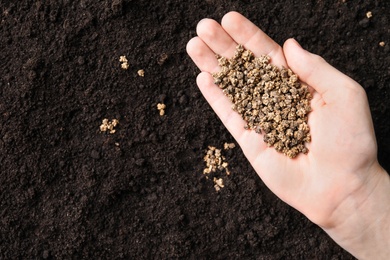 Photo of Woman holding pile of beet seeds over soil, top view with space for text. Vegetable planting