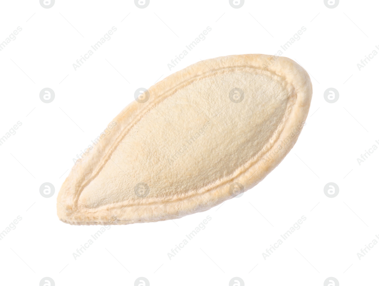 Photo of One dried pumpkin seed isolated on white