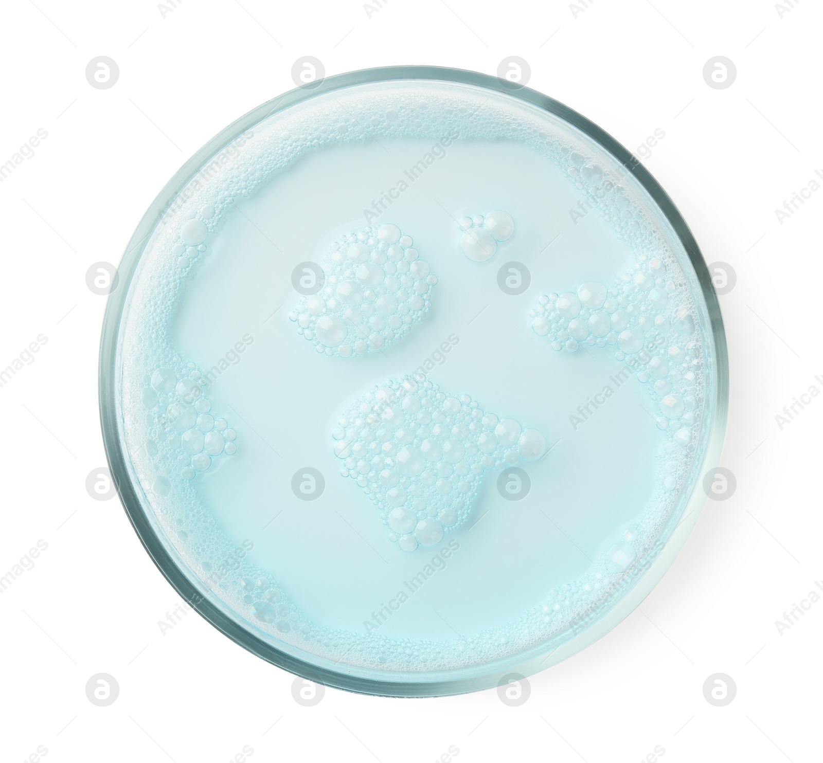 Photo of Petri dish with light blue liquid sample on white background, top view