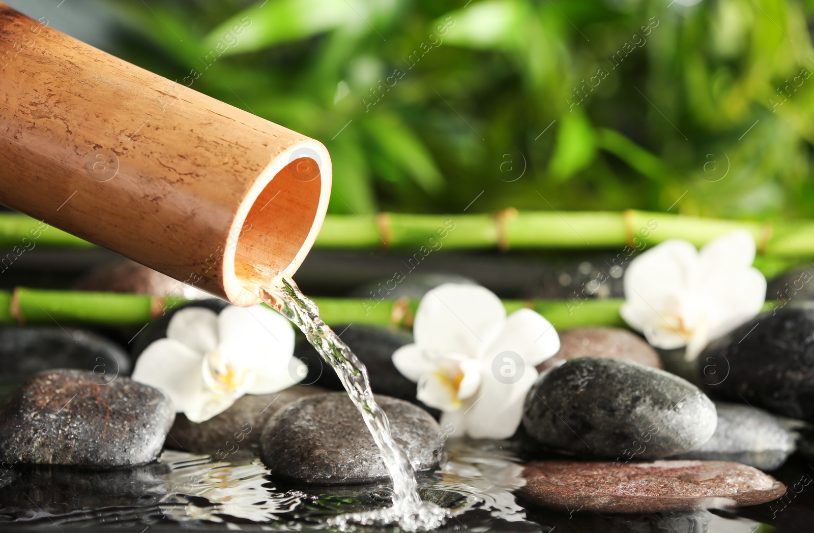 Photo of Traditional bamboo fountain with spa stones and flowers, closeup. Space for text