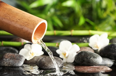 Photo of Traditional bamboo fountain with spa stones and flowers, closeup. Space for text