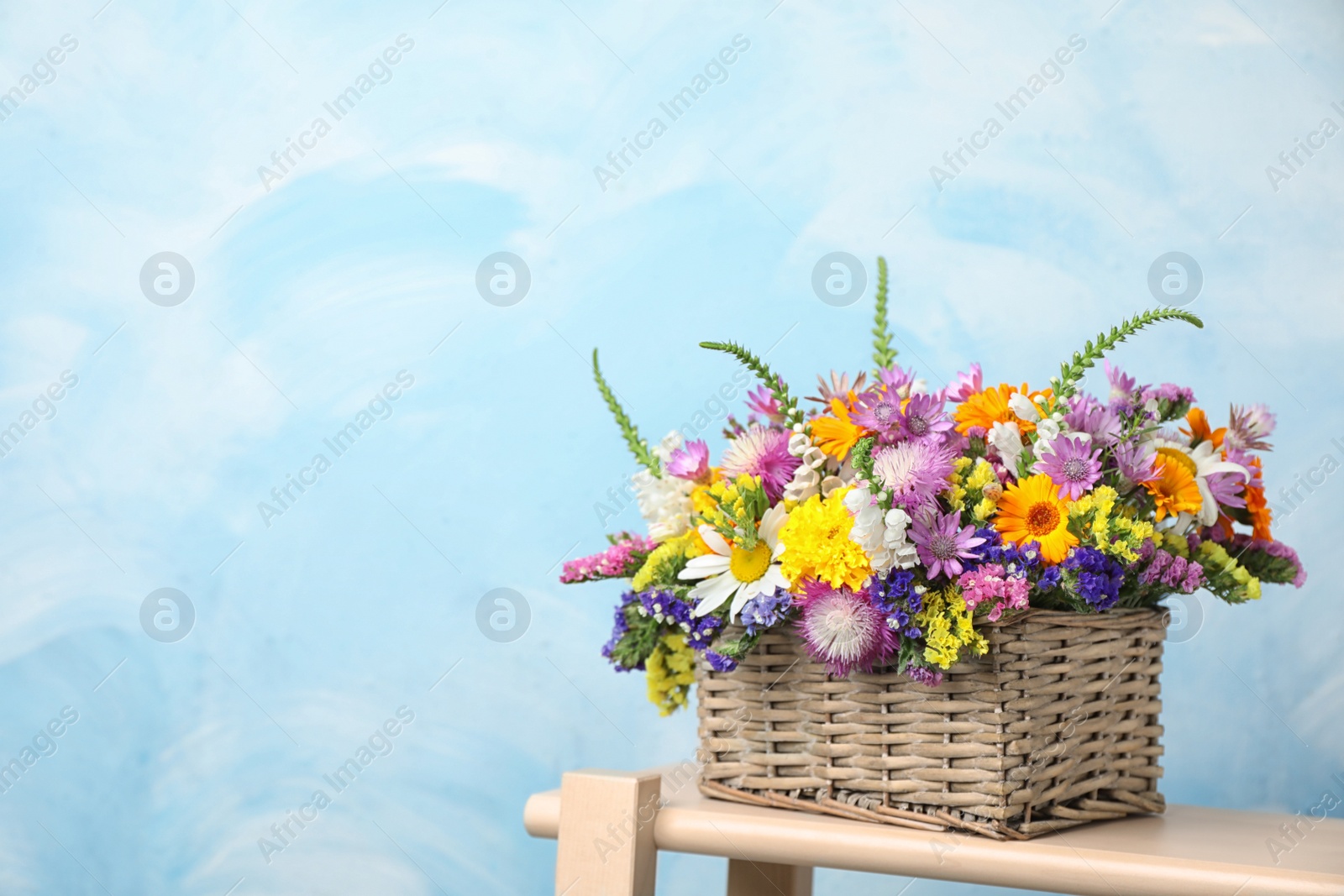 Photo of Wicker basket with beautiful wild flowers on table against color background