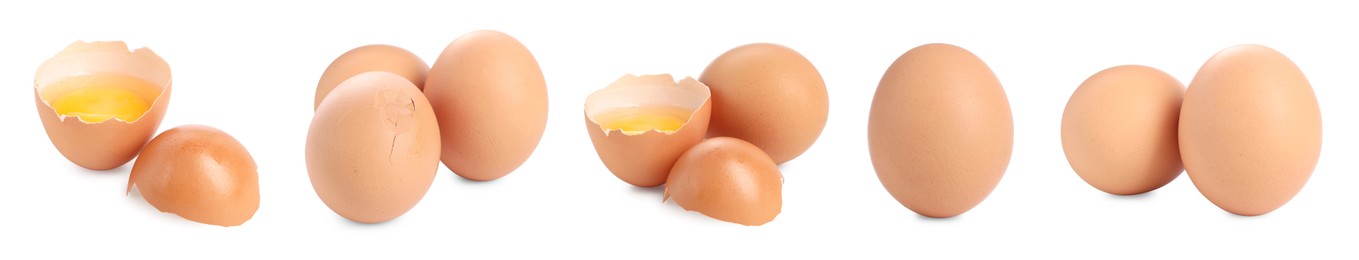 Image of Many eggs and yolks on white background, set