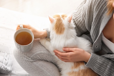 Woman with cute fluffy cat and tea on light background, closeup