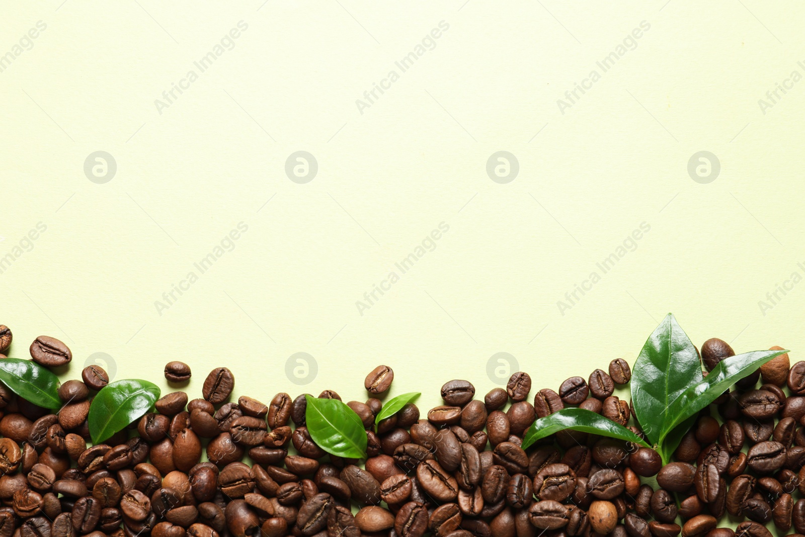 Photo of Fresh green coffee leaves and beans on light green background, flat lay. Space for text