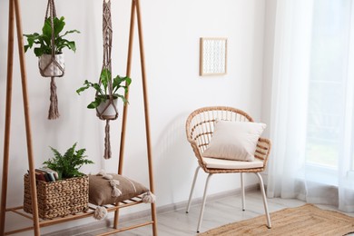 Photo of Beautiful ferns, basket and pillow on wooden rack in room