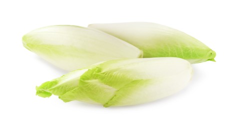 Photo of Raw ripe chicories on white background. Belgian endive