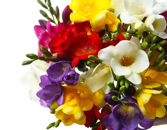 Bouquet of beautiful freesia flowers on white background