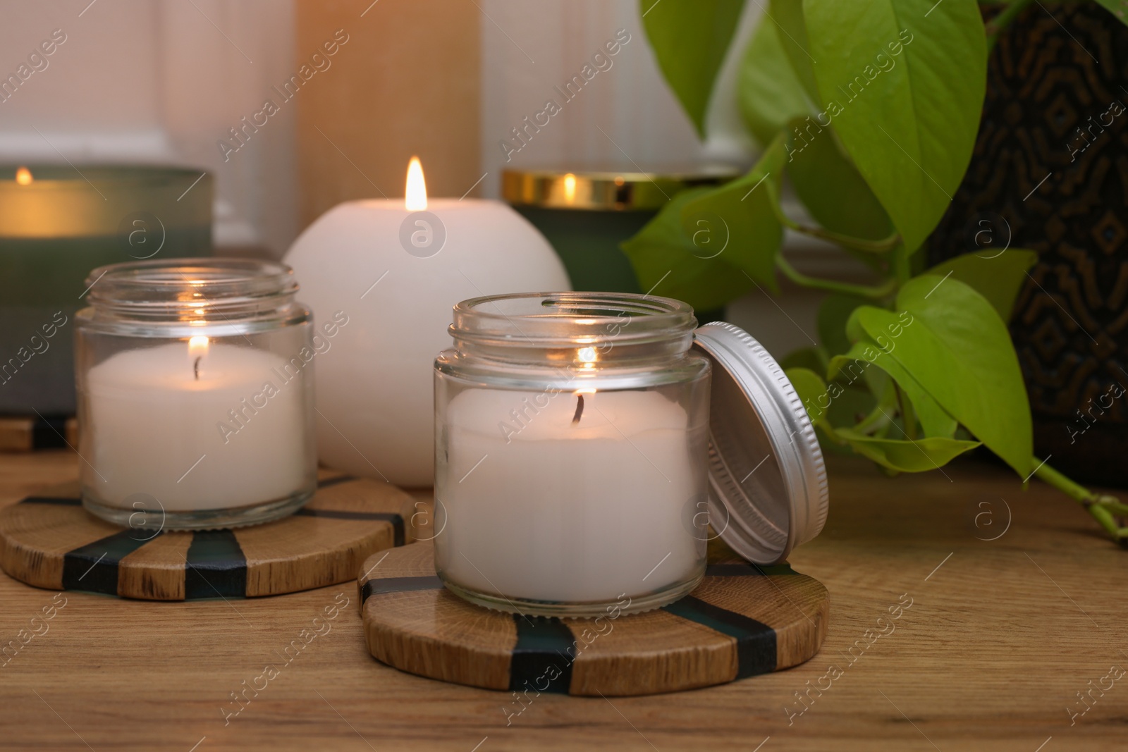 Photo of Burning candles and houseplant on wooden table indoors, closeup