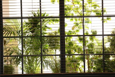 Photo of Beautiful view through window on garden in morning