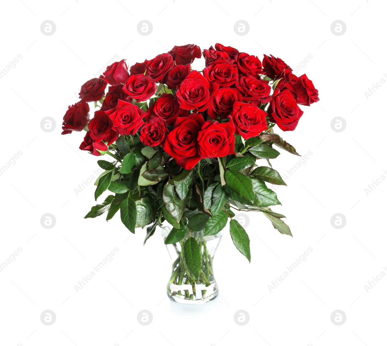 Photo of Vase with beautiful red roses on white background