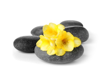 Photo of Spa stones and freesia flowers on white background